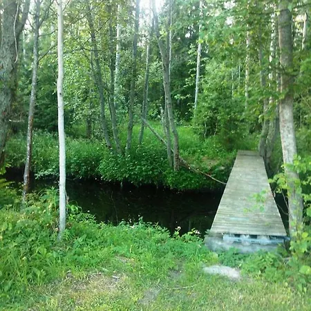 Semesterbostad Hannunluhdan *