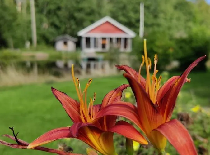 Hannunluhdan Lomamoekit