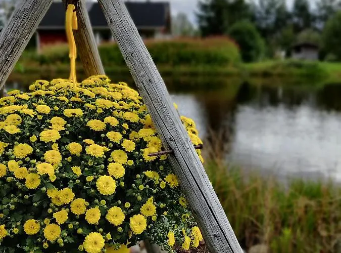 Nyaraló Hannunluhdan Lomamoekit