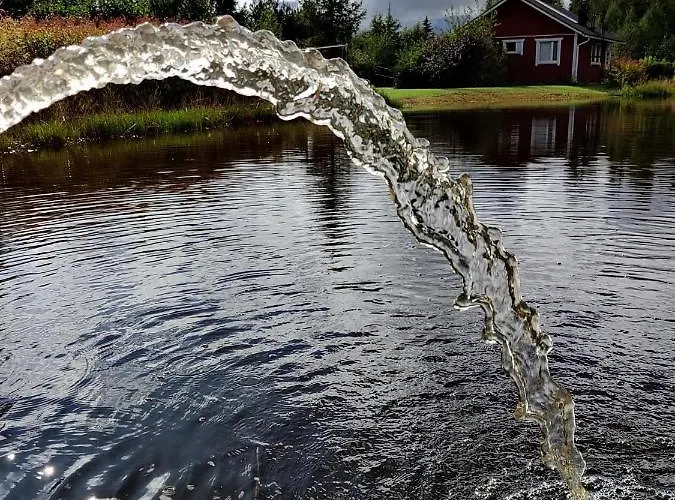 Hannunluhdan Lomamoekit Karijoki