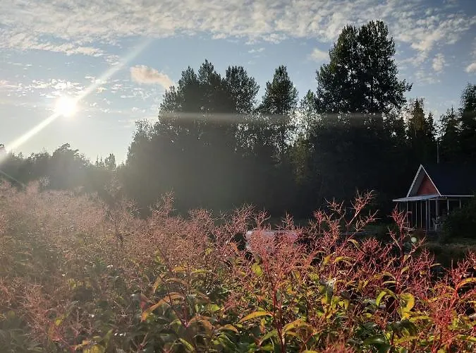 Hannunluhdan Lomamoekit